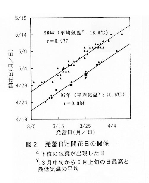 図2:発蕾日と開花日の関係