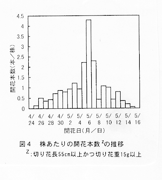図4:株あたりの開花本数の推移