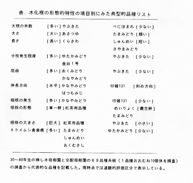 表:木化根の形態的特性の項目別にみた典型的品種リスト