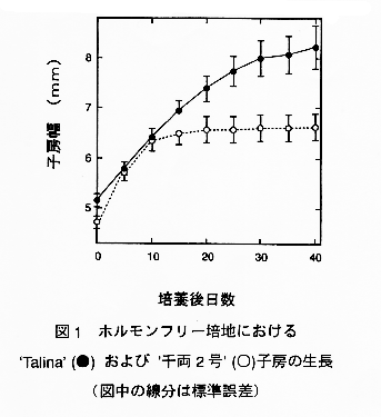 図1 ホルモンフリー培地におけるTalina(●)および千両2号(○)子房の生長