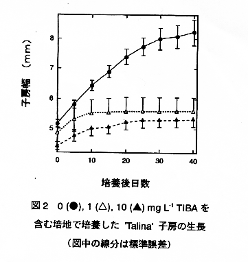 図2 0(●),1(△),10(▲)mgL-1TIBAを含む培地で培養した
'Talina'子房の生長