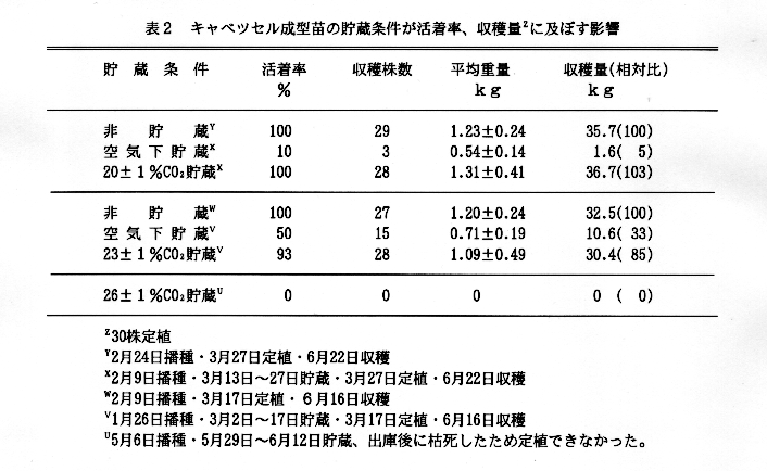 表2 キャベツセル成型苗の貯蔵条件が活着率、収穫量Zに及ぼす影響