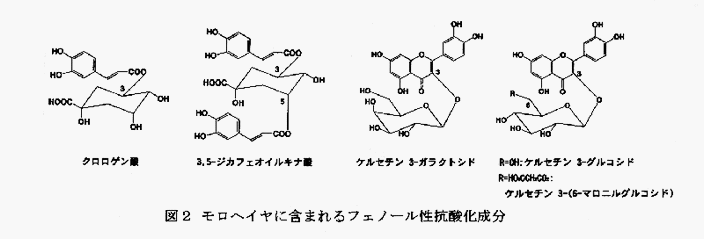 図2 モロヘイヤに含まれるフェノール性抗酸化成分