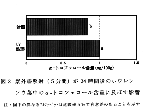 図2 紫外線照射(5分間)が24時間後のホウレンソウ葉中のα-トコフェロール含量に及ぼす影響