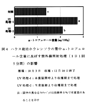 図4 ハウス栽培ホウレンソウの葉中α-トコフェロール含量に及ぼす紫外線照射処理(1日1回 5分間)の影響 