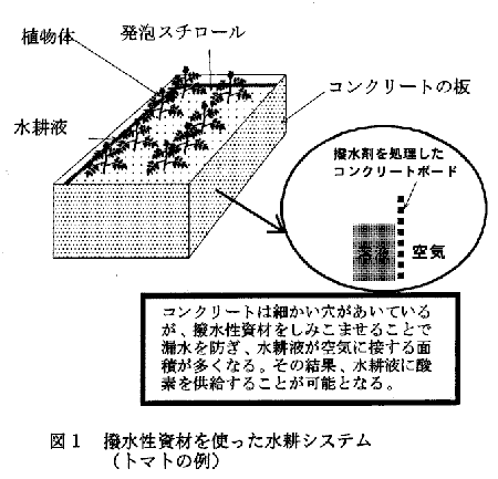 図1 撥水性資材を使った水耕システム