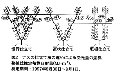 図2 ナスの仕立て法の違いによる受光量の差異