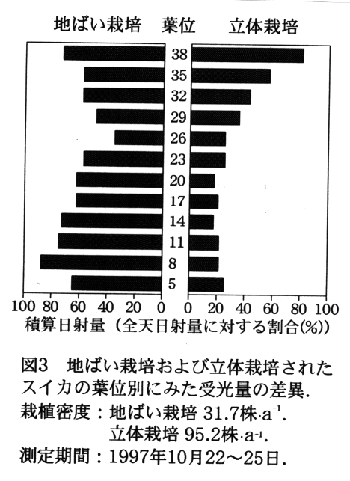 図3 地ばい栽培及び立体栽培されたスイカの葉位別にみた受光量の差異