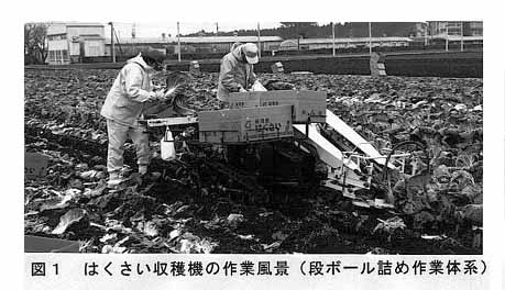 図1 はくさい収穫機の作業風景(段ボール詰め作業体系)