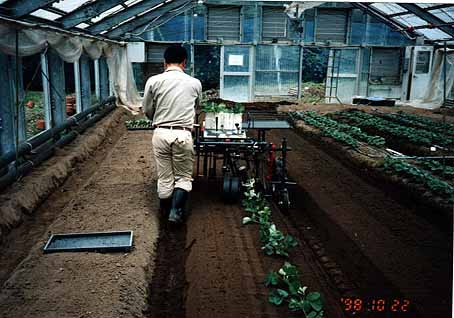 図3 いちご移植機(内なり仕様)