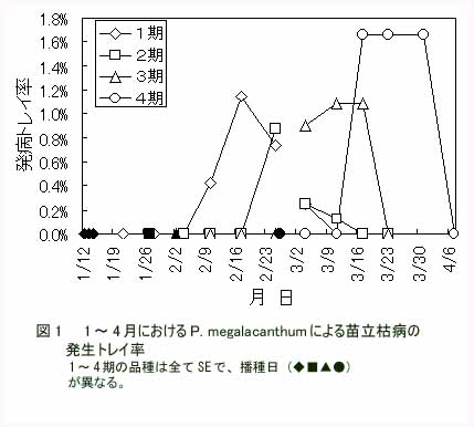図1 1～4月におけるP.megalacanthumによる苗立枯病の発生トレイ率