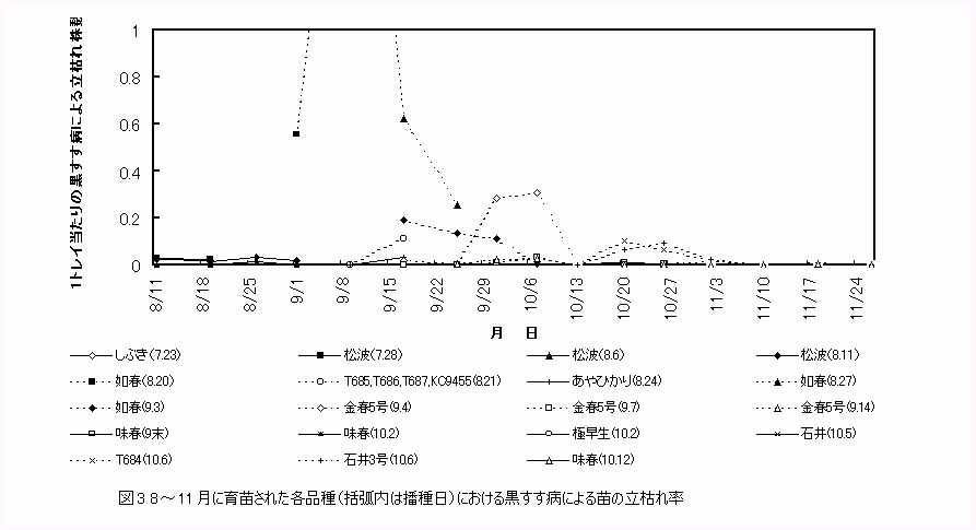 図3 8から11がつに育苗された各品種における黒すす病による苗の立枯れ率