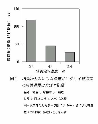 図1 培養液カルシウム濃度がハクサイ軟腐病の病徴進展に及ぼす影響