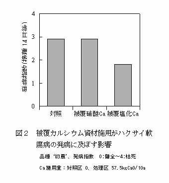 図2 被覆カルシウム資材施用がハクサイ軟腐病の発病に及ぼす影響