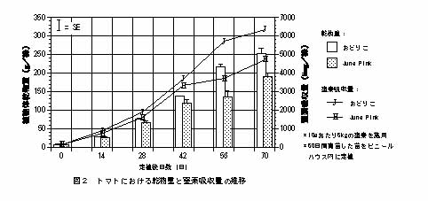 図2 トマトにおける乾物量と窒素吸収量の推移