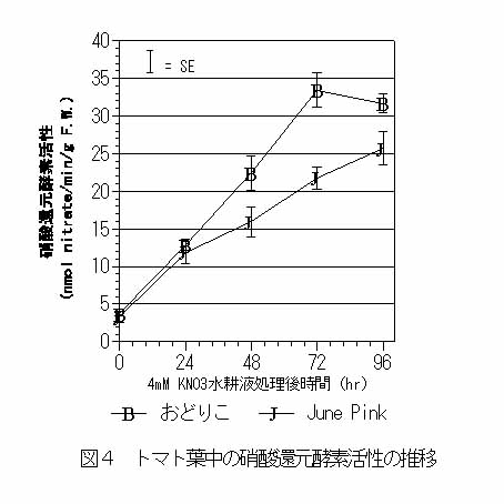 図4 トマト葉中の硝酸還元酵素活性の推移