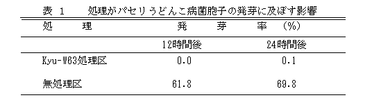 表1 処理がパセリうどんこ病菌胞子の発芽に及ぼす影響