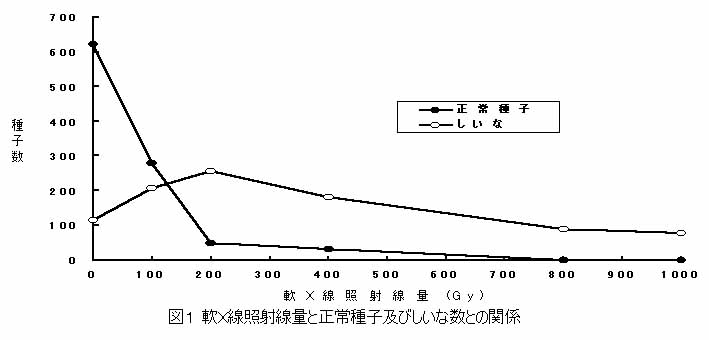 図1 軟X線照射線量と正常種子及びしいな数との関係