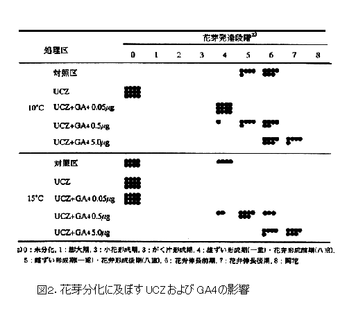 図2 花芽分化に及ぼすUCZおよびGA4の影響