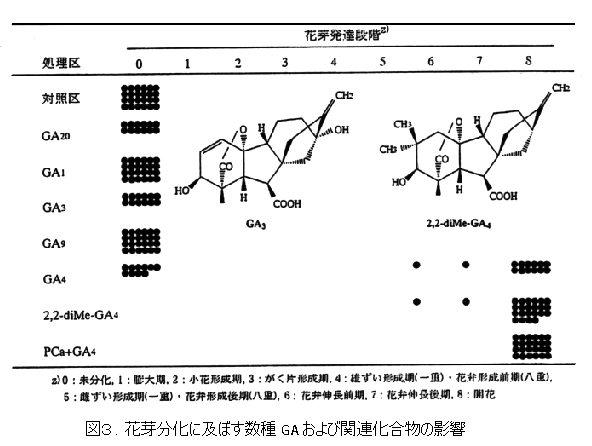 図3 花芽分化に及ぼす数種GAおよび関連化合物の影響