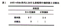 表 SGΩ-4のR2世代における表現型の個体数と分離比