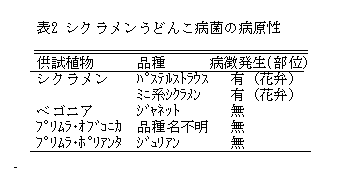 表2 シクラメンうどんこ病菌の病原性