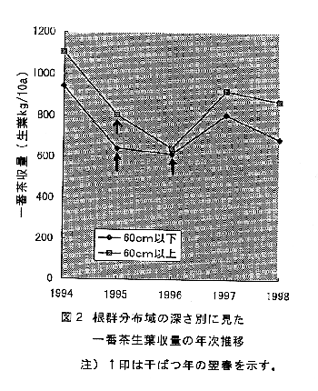 図2 根群分布域の深さ別にみた一番茶生葉収量の年次推移