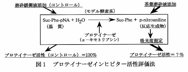 図1 プロテイナーゼインヒビター活性評価法