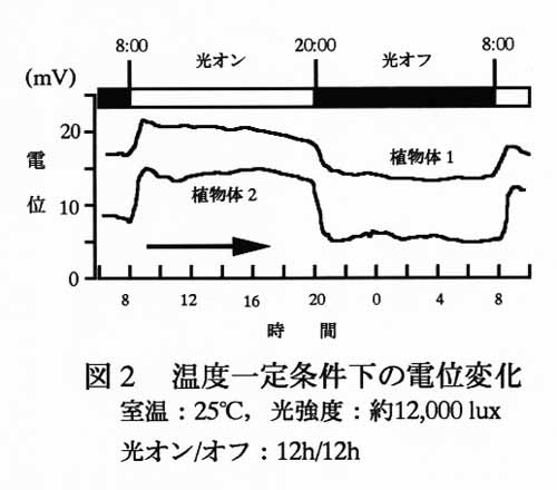 図3 電位の日周変動事例