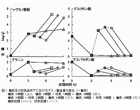 図1 嫌気及び好気条件下におけるアミノ酸含量の変化(一番茶)