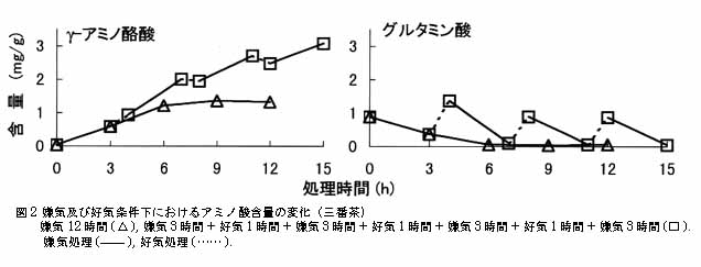 図2 嫌気及び好気条件下におけるアミノ酸含量の変化(三番茶)