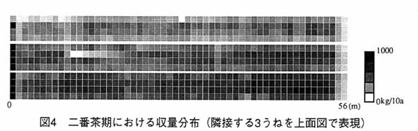 図4 二番茶期における収量分布