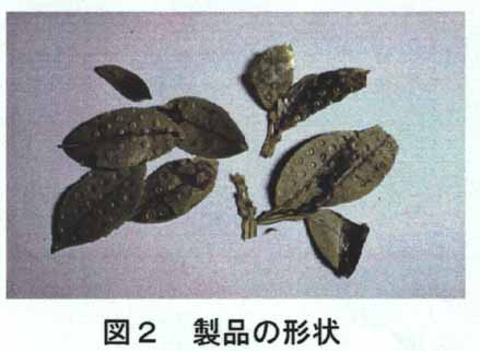 図2 製品の形状