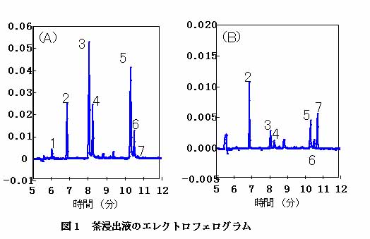 図1 茶浸出液のエレクトロフェログラム
