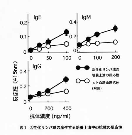 図1 活性化リンパ球の産生する培養上清中の抗体の反応性
