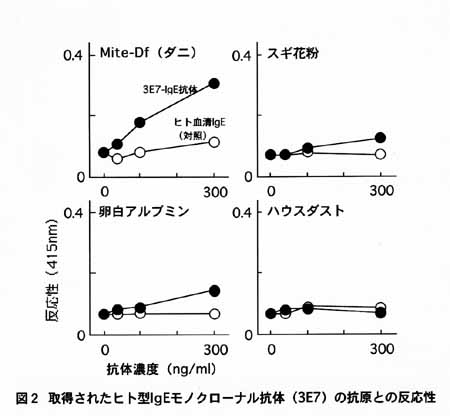 図2 取得されたヒト型lgEモノクローナル抗体(3E7)の抗原との反応性