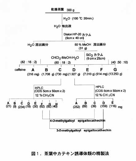 図1 茶葉中カテキン誘導体類の精製法