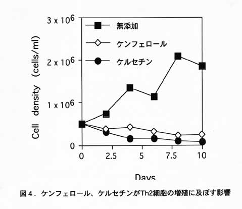 図4 ケンフェロール、ケルセチンがTh2細胞の増殖に及ぼす影響