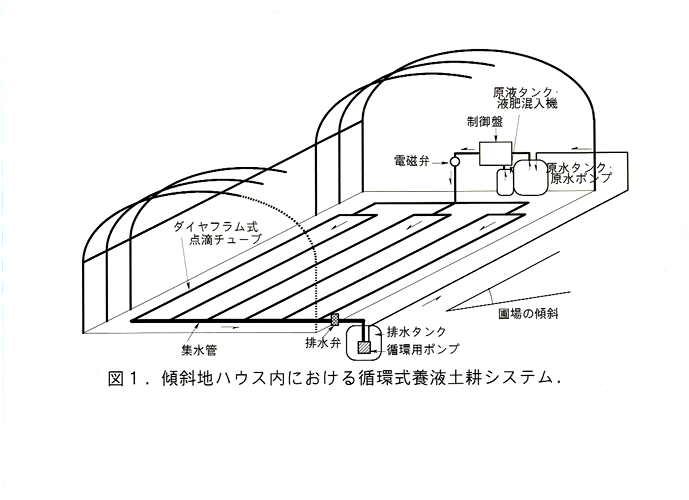 図1 傾斜地ハウス内における循環式養液土耕システム