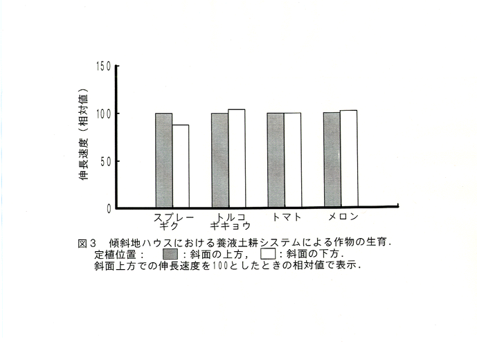 図3 傾斜地ハウスにおける養液土耕システムによる作物の生育