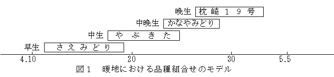 図1 暖地における品種組合わせのモデル