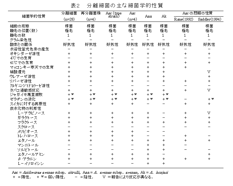 表2 分離細菌の主な細菌学的性質