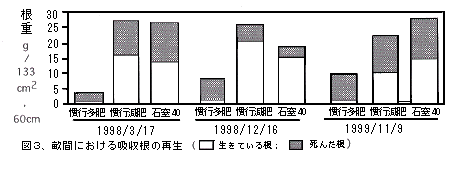 図3 畝間における吸収根の再生