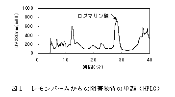 図1 レモンバームからの阻害物質の単離