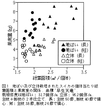 図1 地ばいおよび立体栽培されたスイカの個体当たり総葉面積と果実重の関係