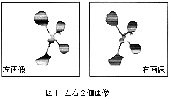 図1 左右2値画像