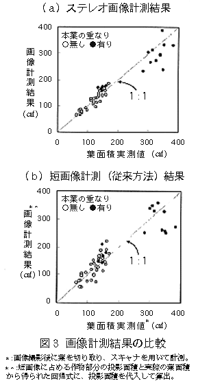 図3 画像計測結果の比較