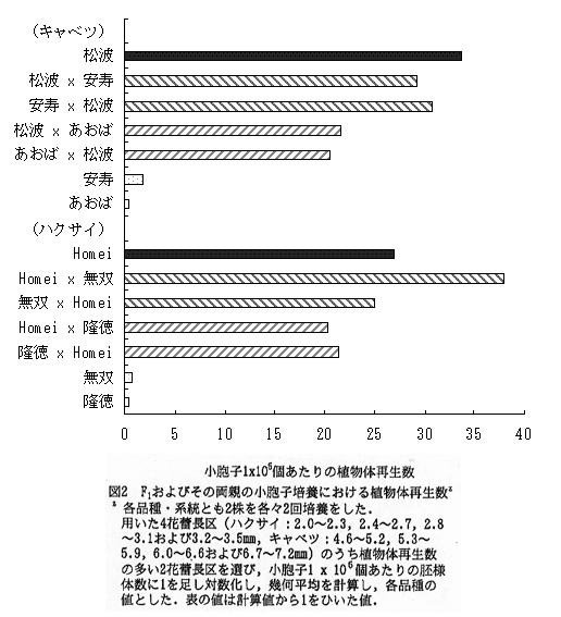 図2 F1およびその両親の小胞子培養における植物体再生数