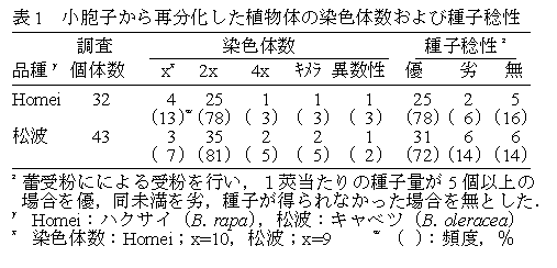 表1 小胞子から細分化した植物体の染色体数及び種子稔性