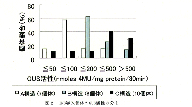 図2 INS導入個体のGUS活性の分布
